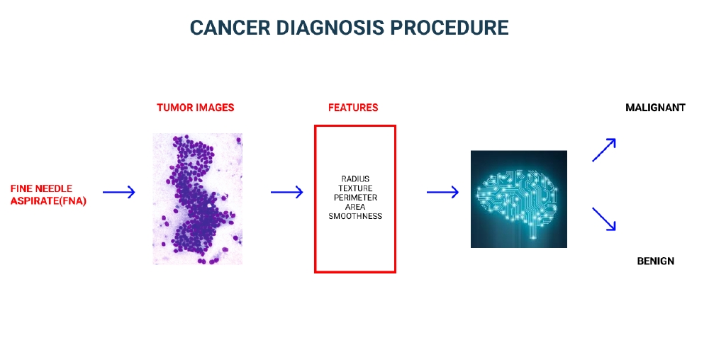 cancer-classification.jpg
